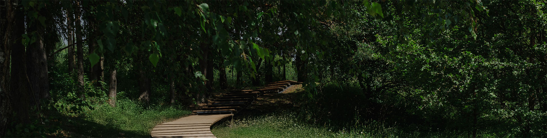 Ноко. О бренде