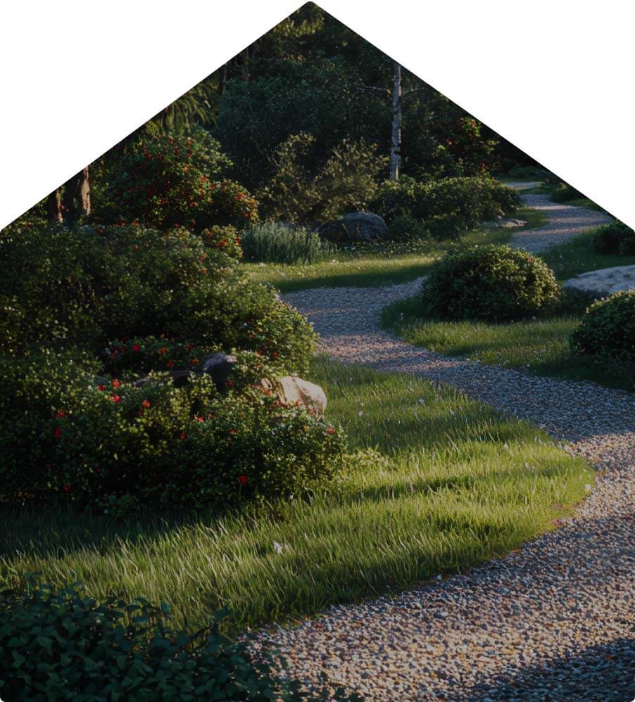 Общественные зоны в поселке