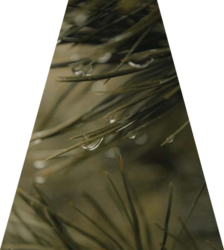 Элитный поселок